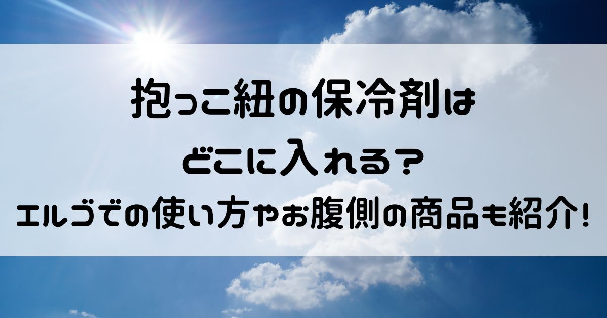 抱っこ 紐 販売 保冷 剤 どこに エルゴ