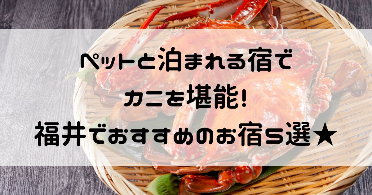 ペットと泊まれる宿 カニ 福井