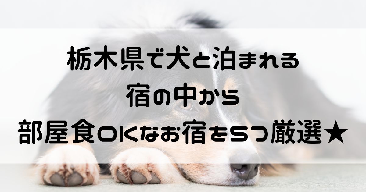 栃木県 犬と泊まれる宿 部屋食