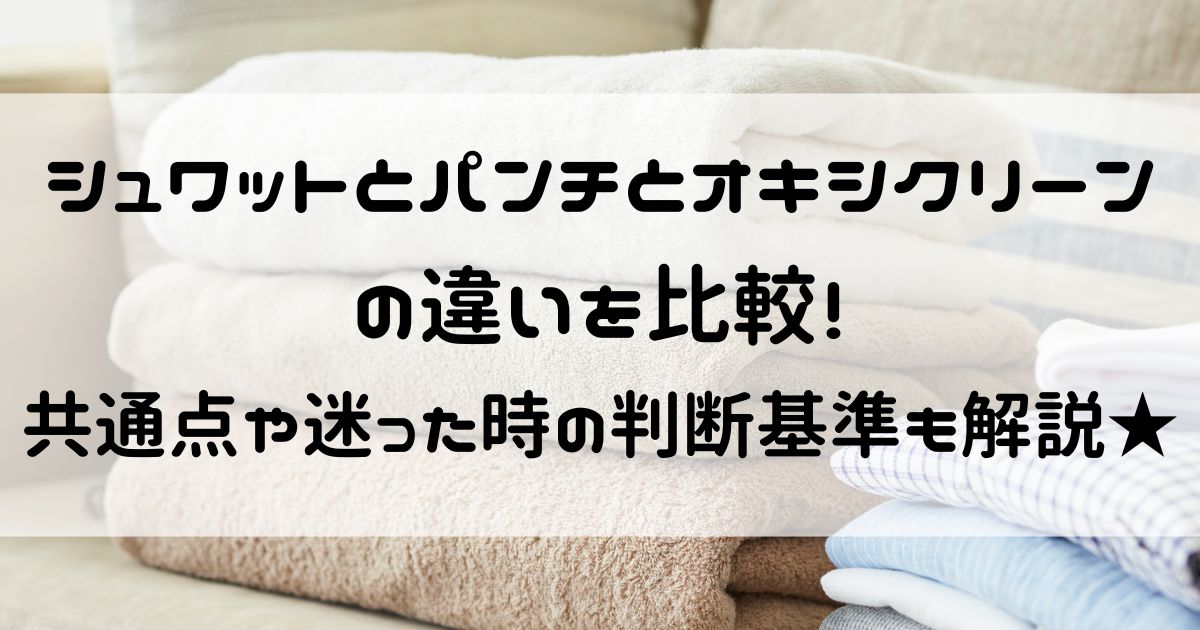 シュワットとパンチ オキシクリーン 違い